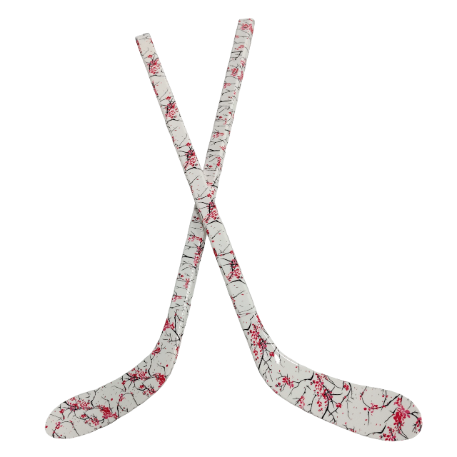 Ensemble de bâtons de Hockey s - Kids Outdoor Gift Ideas avis et prix