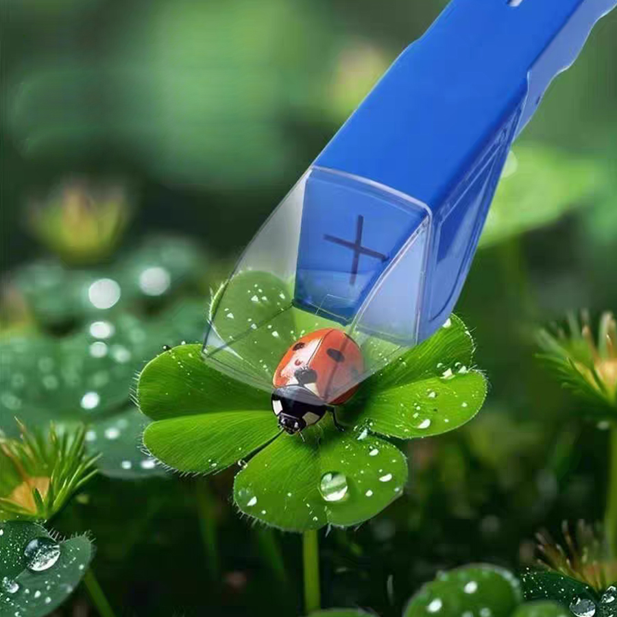 Boîte attrape-insectes pour en - Kids Outdoor Nature Toys avis et prix